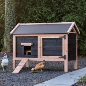 Chicken coop Eggy - The gable roof gives the coop a classic look.