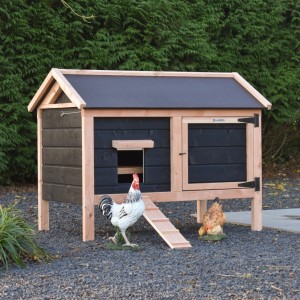 Chicken coop Eggy - Douglas black