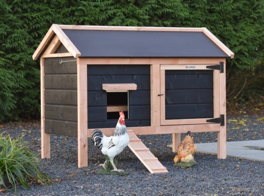 Chicken coop Eggy - Douglas black