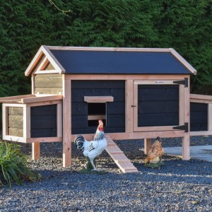 Chicken Coop Eggy - Douglas black with 2 nesting boxes