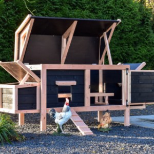 Thanks to the practical hinged roof and door, the Eggy chicken coop is easy to clean.