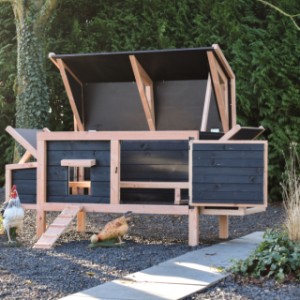 Chicken coop Eggy - The practical hinged roof and door make the coop easy to clean.