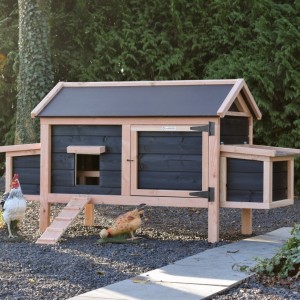 Chickens in style! Chicken coop Eggy offers comfort and convenience in one.