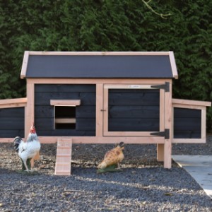 Practical and stylish! Chicken coop Eggy pays attention to detail.