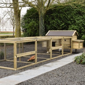 Chicken Coop Eggy - For active chickens! The run provides plenty of space and is easy to keep clean.