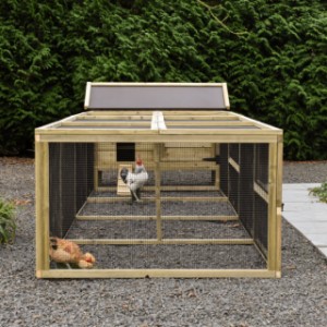 Chicken Coop Eggy - Comfort for your chickens! Extra spacious run for scratching fun and relaxation.