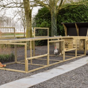 Chicken Coop Eggy - Always tidy! With the hinged roof, maintaining the run and coop is effortless.