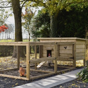 Chicken coop Eggy with run - For active chickens! The run provides plenty of space and is easy to keep clean.