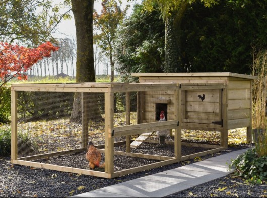 Chicken coop Eggy with run - For active chickens! The run provides plenty of space and is easy to keep clean.