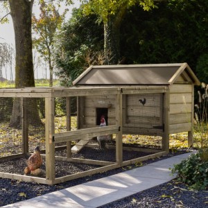 Chicken coop Eggy with run - For active chickens! The run provides plenty of space and is easy to keep clean.