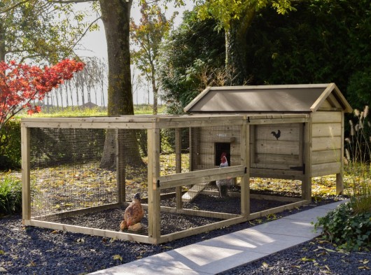 Chicken coop Eggy with run - For active chickens! The run provides plenty of space and is easy to keep clean.