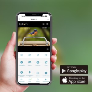 Sanilu bird feeder | with free app