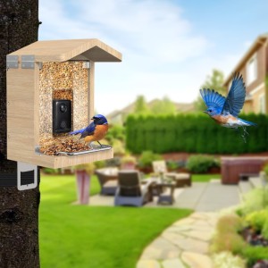 Sanilu bird feeder with camera incl. solar panel