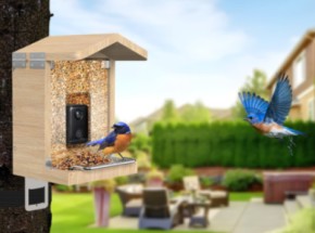 Sanilu bird feeder with camera incl. solar panel