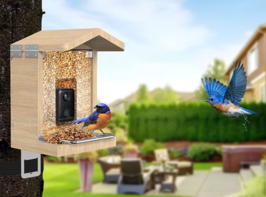 Sanilu bird feeder with camera