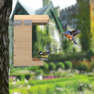 Sanilu bird feeder | The birds fly off and on!