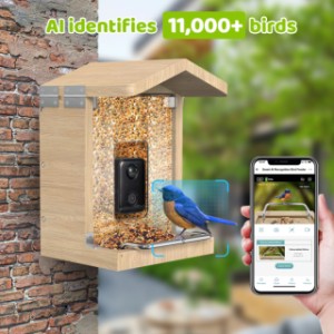 Sanilu bird feeder | The AI system recognizes over 11,000 bird species