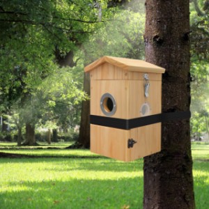 Sanilu nest box | With the included strap, it can be mounted to the tree without drilling