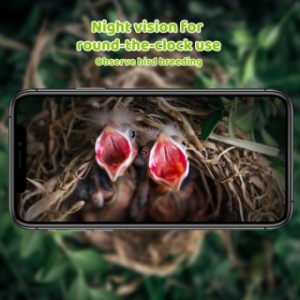 The Sanilu bird nest box can also be used at night