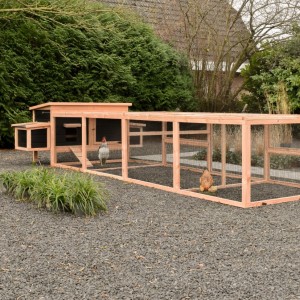 Chicken coop Eggy with double run and 2 nesting boxes.