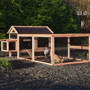 Chicken coop Eggy with run and nesting box - Douglas/Black