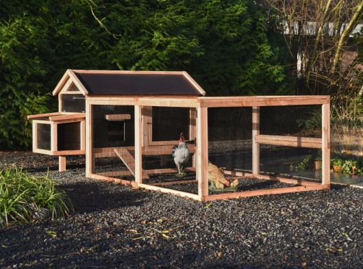 Chicken coop Eggy with run and nesting box - Douglas/Black