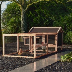 Chicken coop Eggy - Comfort for your chickens! Spacious run for scratching fun and relaxation.