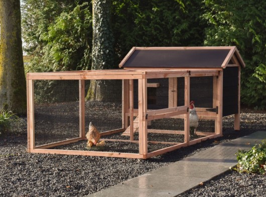 Chicken coop Eggy with 1 run – Douglas/Black