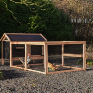 Chicken coop Eggy with run - Comfort for your chickens! Spacious run for scratching fun and relaxation.