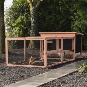 Chicken coop Eggy with 1 run – Douglas/Black