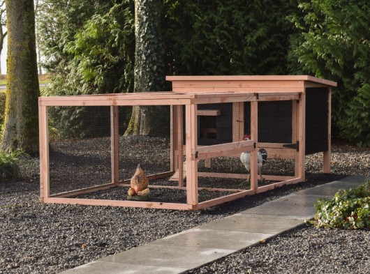 Chicken coop Eggy with 1 run – Douglas/Black