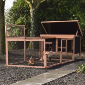 Chicken coop Eggy with run - Smart design! The half roof opens easily for access.