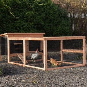 Chicken coop Eggy with run - Comfort for your chickens! Spacious run for scratching fun and relaxation.