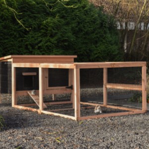 Rabbit hutch Eggy with run - More playtime fun! A spacious run where rabbits feel completely at home.