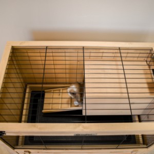 Guinea pig hutch Emma is provided with a mesh roof