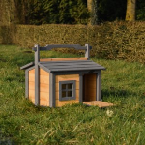 Hedgehog house offers a nice shelter for your hedge hogs