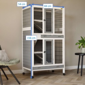 Dimensions rabbit hutch Beau