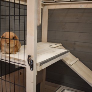 Cage Beau is nice to keep rabbits in the house