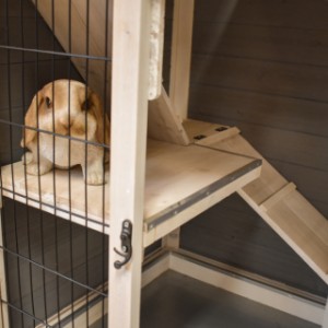 The wooden hutch is provided with aluminum chewprotection