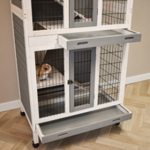 Rabbit cage Beau is provided with 2 trays