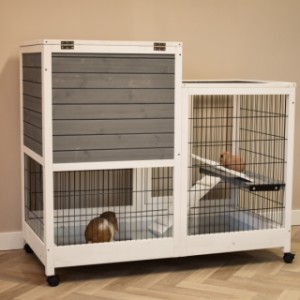 Have a look on the backside of rabbit cage Esmee