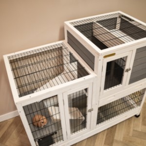 Rabbit cage Esmee has partially a hinged roof