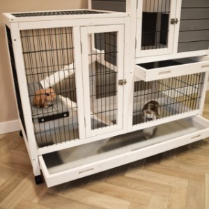 Rabbit cage Esmee has a practical tray