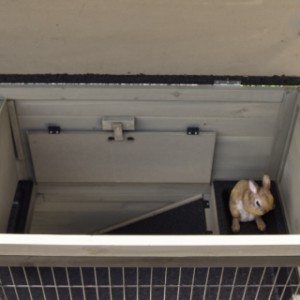 Rabbit hutch with lockable sleeping area