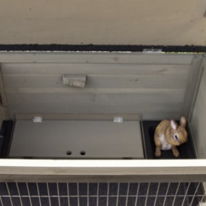 Rabbit hutch with lockable sleeping area