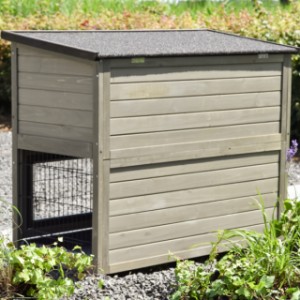 Have a look on the backside of guinea pig hutch Adrian