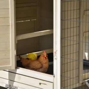 The lockable sleeping area of the Holiday Large chicken coop includes two sturdy perches.