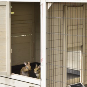 In the lockable sleeping area of the Holiday Large rabbit hutch, the rabbits can rest comfortably.