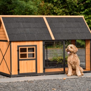 Dog House Danielle – Outdoor living with comfort