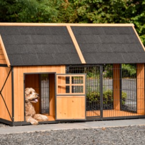 Dog house Danielle - the night shelter is suitable for e.g. a labradoodle